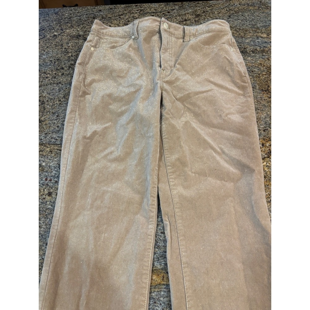 Talbots Sparkle Gold Shimmer Corduroy Pants Beige Tan Straight Leg Womens 10